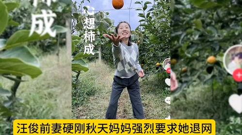 秋天妈妈被爆料最新,真相与争议交织 第1张 秋天妈妈被爆料最新,真相与争议交织 第1张