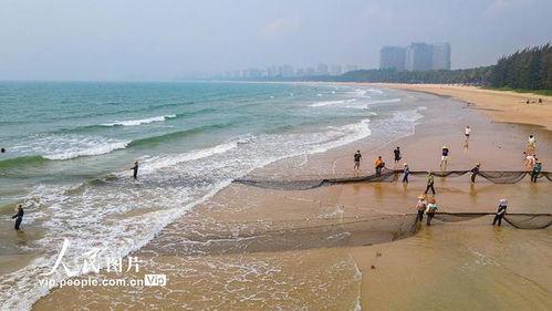 海南赶海爆料网站大全最新,探索海滩的秘密宝藏 第3张 海南赶海爆料网站大全最新,探索海滩的秘密宝藏 第3张