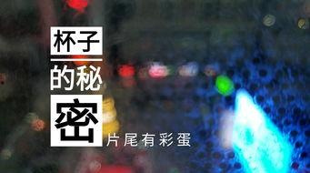 甘肃饭店爆料视频大全集,揭秘幕后真相与行业内幕  第1张